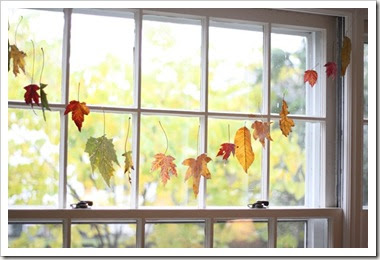 For such a time as this...: Feature Friday: Waxing Leaves